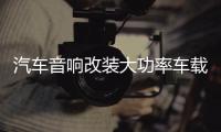 汽车音响改装大功率车载10寸12寸车用无源双音圈超重低音箱低音炮